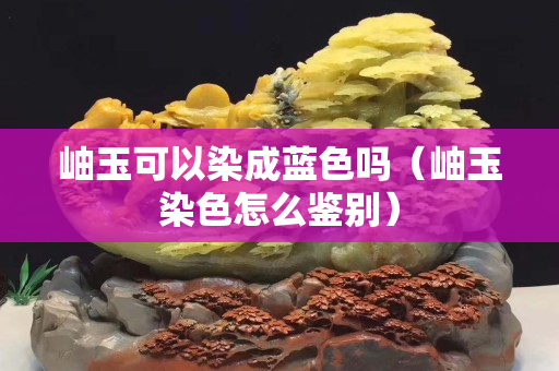 岫玉可以染成藍色嗎（岫玉染色怎么鑒別）