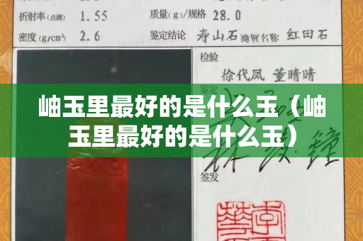 岫玉里最好的是什么玉（岫玉里最好的是什么玉）