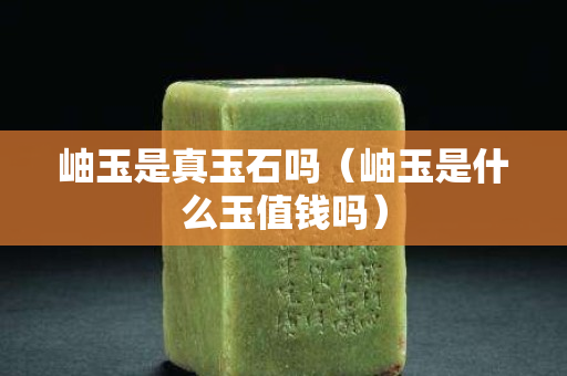 岫玉是真玉石嗎（岫玉是什么玉值錢嗎）