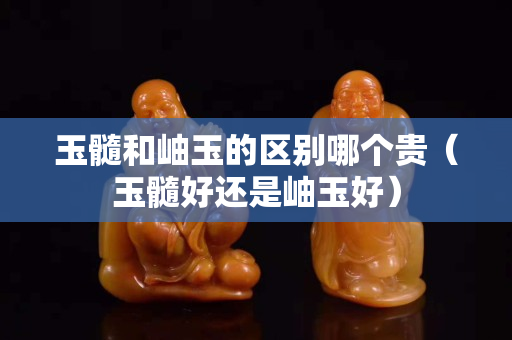 玉髓和岫玉的區(qū)別哪個(gè)貴（玉髓好還是岫玉好）