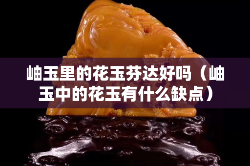 岫玉里的花玉芬達好嗎（岫玉中的花玉有什么缺點）