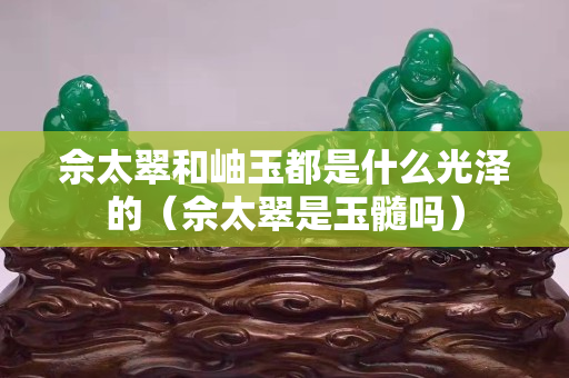 佘太翠和岫玉都是什么光澤的（佘太翠是玉髓嗎）