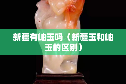 新疆有岫玉嗎（新疆玉和岫玉的區別）