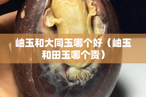 岫玉和大同玉哪個(gè)好（岫玉和田玉哪個(gè)貴）