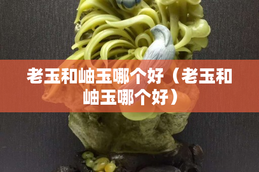 老玉和岫玉哪個好（老玉和岫玉哪個好）