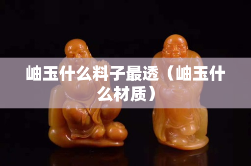 岫玉什么料子最透（岫玉什么材質）