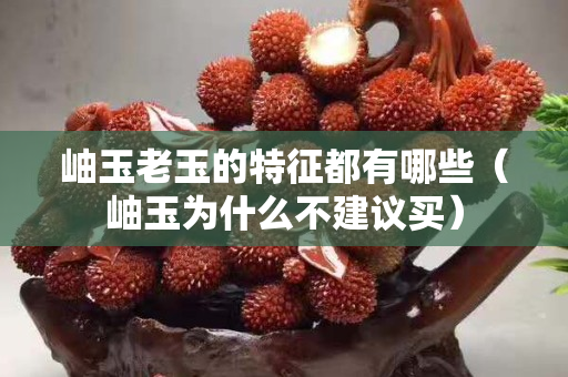 岫玉老玉的特征都有哪些（岫玉為什么不建議買）