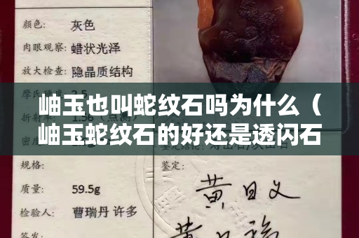 岫玉也叫蛇紋石嗎為什么（岫玉蛇紋石的好還是透閃石的好）