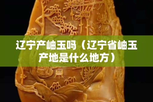 遼寧產岫玉嗎（遼寧省岫玉產地是什么地方）
