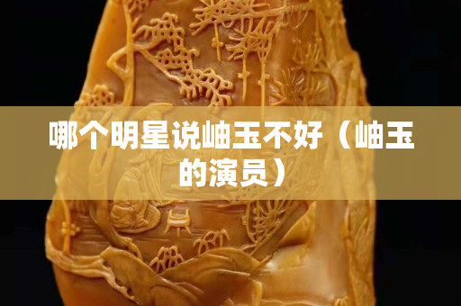 哪個明星說岫玉不好（岫玉的演員）