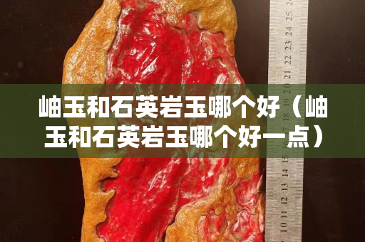 岫玉和石英巖玉哪個(gè)好（岫玉和石英巖玉哪個(gè)好一點(diǎn)）