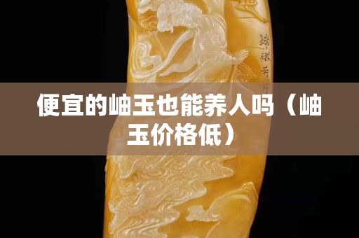 便宜的岫玉也能養(yǎng)人嗎（岫玉價(jià)格低）