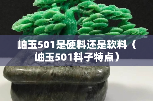 岫玉501是硬料還是軟料（岫玉501料子特點）