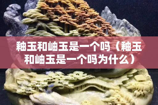 釉玉和岫玉是一個嗎（釉玉和岫玉是一個嗎為什么）