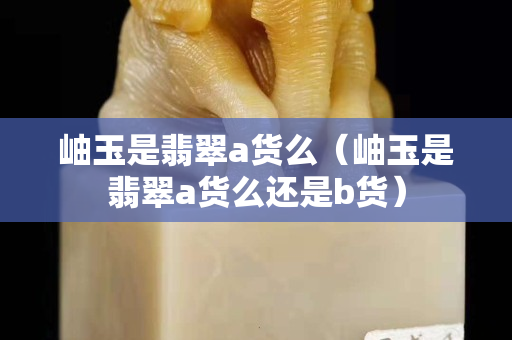 岫玉是翡翠a貨么（岫玉是翡翠a貨么還是b貨）