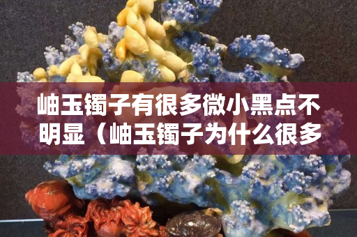 岫玉鐲子有很多微小黑點不明顯（岫玉鐲子為什么很多黑點）