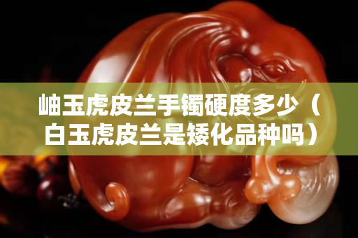 岫玉虎皮蘭手鐲硬度多少（白玉虎皮蘭是矮化品種嗎）