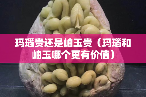 瑪瑙貴還是岫玉貴（瑪瑙和岫玉哪個(gè)更有價(jià)值）