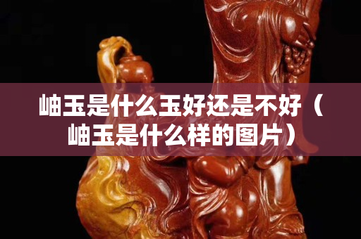 岫玉是什么玉好還是不好（岫玉是什么樣的圖片）