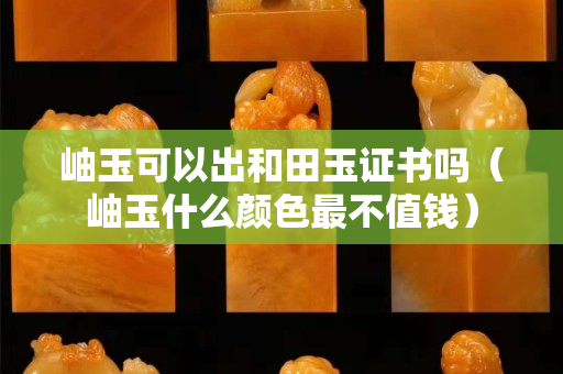 岫玉可以出和田玉證書嗎（岫玉什么顏色最不值錢）