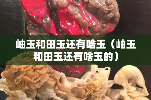 岫玉和田玉還有啥玉（岫玉和田玉還有啥玉的）