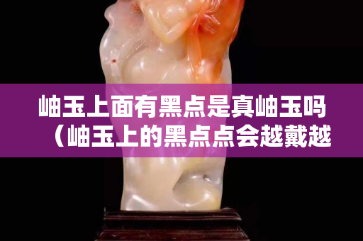 岫玉上面有黑點是真岫玉嗎（岫玉上的黑點點會越戴越少嗎）