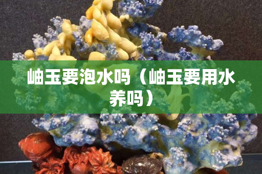 岫玉要泡水嗎（岫玉要用水養(yǎng)嗎）