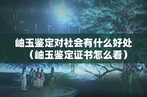 岫玉鑒定對社會有什么好處（岫玉鑒定證書怎么看）