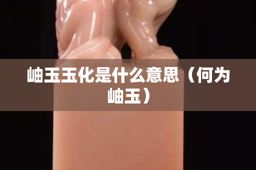 岫玉玉化是什么意思（何為岫玉）
