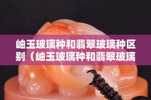 岫玉玻璃種和翡翠玻璃種區別（岫玉玻璃種和翡翠玻璃種區別圖片）