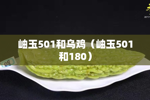 岫玉501和烏雞（岫玉501和180）