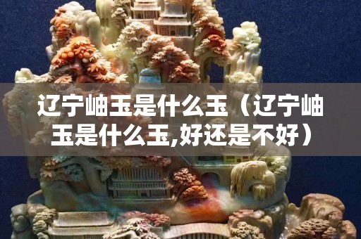 遼寧岫玉是什么玉（遼寧岫玉是什么玉,好還是不好）