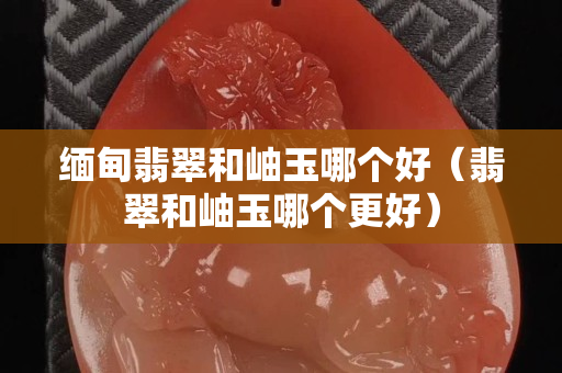 緬甸翡翠和岫玉哪個好（翡翠和岫玉哪個更好）