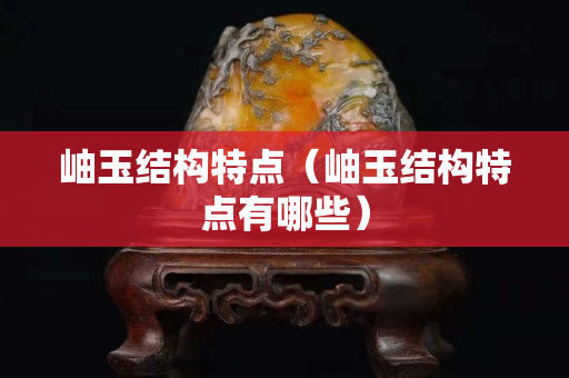 岫玉結(jié)構(gòu)特點(diǎn)（岫玉結(jié)構(gòu)特點(diǎn)有哪些）