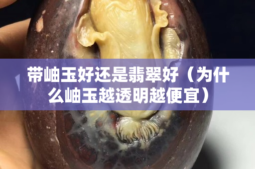 帶岫玉好還是翡翠好（為什么岫玉越透明越便宜）
