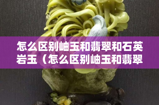 怎么區別岫玉和翡翠和石英巖玉（怎么區別岫玉和翡翠和石英巖玉的區別）