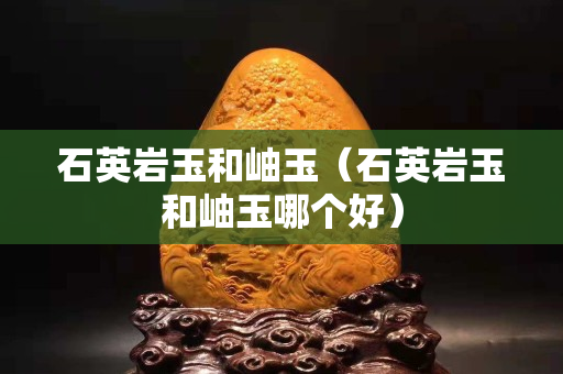 石英巖玉和岫玉（石英巖玉和岫玉哪個好）