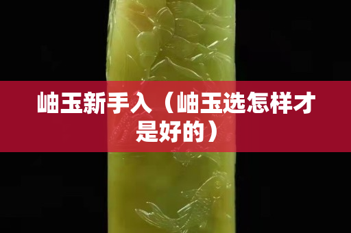岫玉新手入（岫玉選怎樣才是好的）