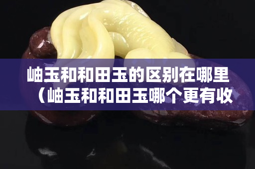 岫玉和和田玉的區別在哪里（岫玉和和田玉哪個更有收藏價值）