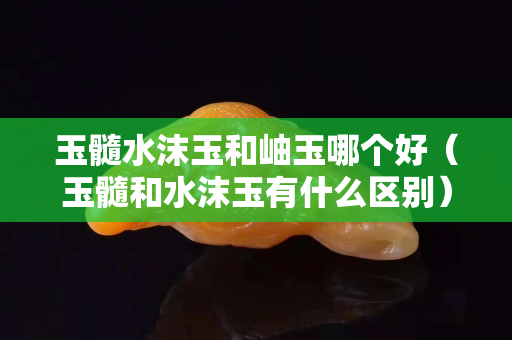 玉髓水沫玉和岫玉哪個(gè)好（玉髓和水沫玉有什么區(qū)別）