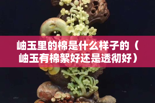 岫玉里的棉是什么樣子的（岫玉有棉絮好還是透徹好）