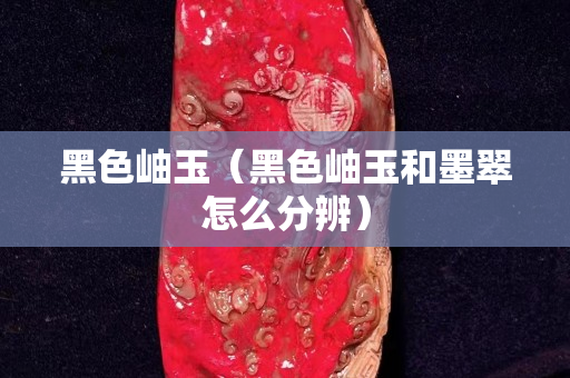 黑色岫玉（黑色岫玉和墨翠怎么分辨）