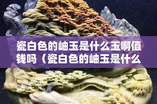 瓷白色的岫玉是什么玉啊值錢嗎（瓷白色的岫玉是什么玉啊值錢嗎知乎）