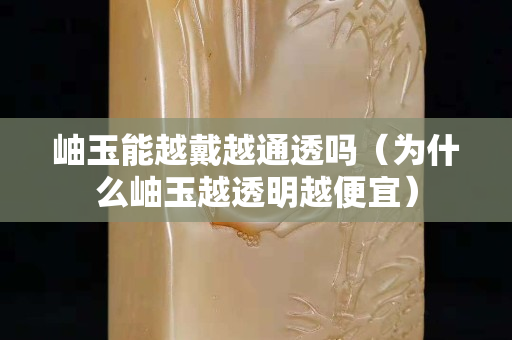 岫玉能越戴越通透嗎（為什么岫玉越透明越便宜）