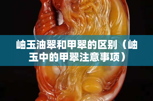 岫玉油翠和甲翠的區別（岫玉中的甲翠注意事項）