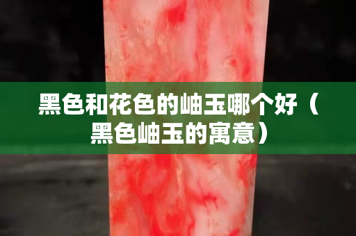 黑色和花色的岫玉哪個好（黑色岫玉的寓意）