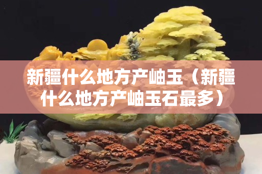 新疆什么地方產(chǎn)岫玉（新疆什么地方產(chǎn)岫玉石最多）