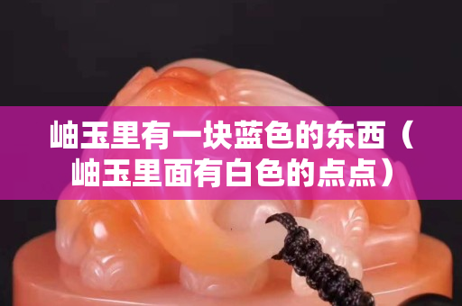 岫玉里有一塊藍色的東西（岫玉里面有白色的點點）