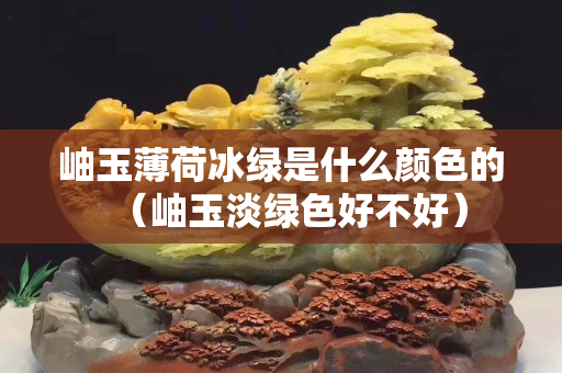 岫玉薄荷冰綠是什么顏色的（岫玉淡綠色好不好）