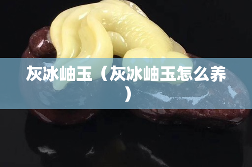 灰冰岫玉（灰冰岫玉怎么養）